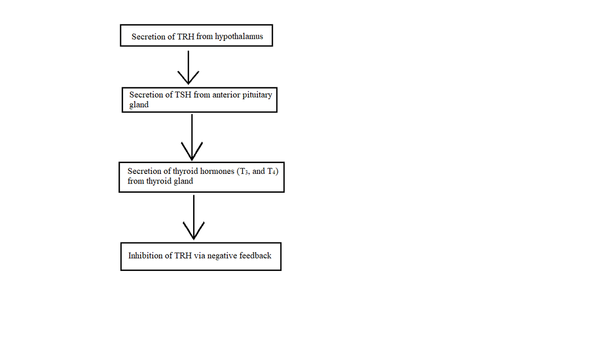 Anatomy and Physiology homework question answer, step 2, image 1